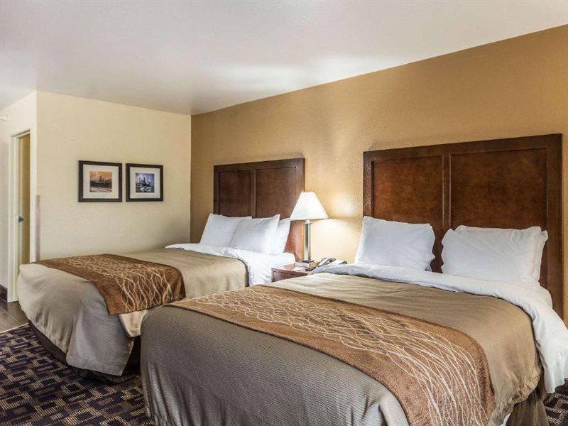 Comfort Inn & Suites North Aurora - Naperville Экстерьер фото