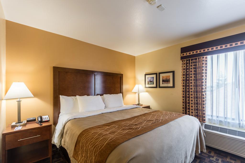 Comfort Inn & Suites North Aurora - Naperville Экстерьер фото